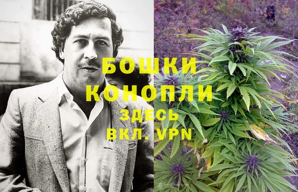 гидра Вязьма