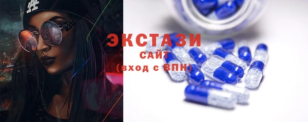 гидра Вязьма