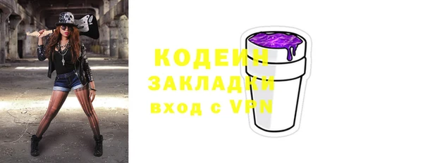 гидра Вязьма