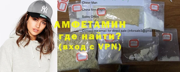 гидра Вязьма
