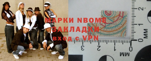 гидра Вязьма