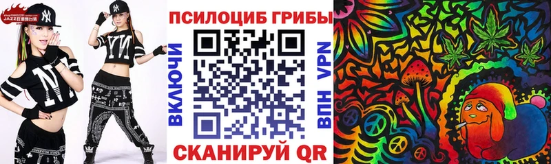 Галлюциногенные грибы Magic Shrooms  где можно купить   Дальнегорск 
